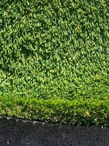 Artificial Turf LA 8