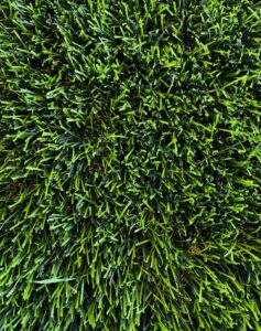 Artificial Grass